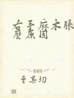 右手麻木胀痛什么原因