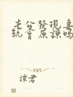 老公发现妻子出轨会原谅吗封面