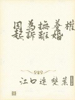 因为抚养权问题起诉离婚