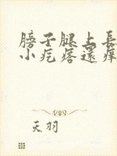 膀子腿上长好多小疙瘩还痒封面