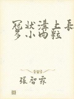 冠状沟上长了许多小肉粒封面