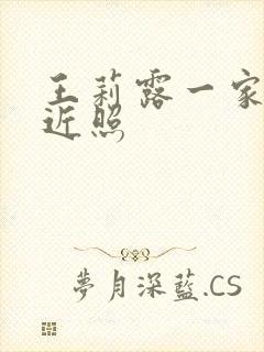 王莉露一家三口近照