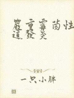 严重霉菌性的阴道发炎