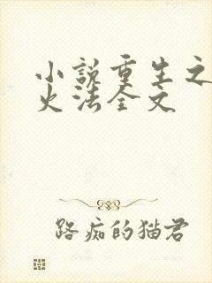 小说重生之狂暴火法全文