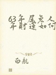 63年属兔人今年财运如何