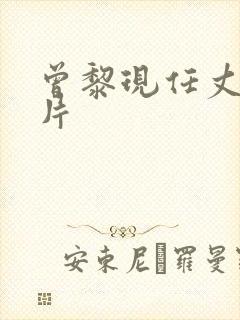 曾黎现任丈夫照片