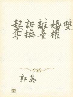 起诉离婚双方争夺抚养权