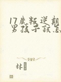 17岁叛逆期的男孩子该怎样去沟通教育