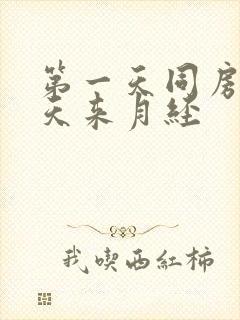 第一天同房第二天来月经封面