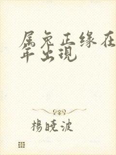 属兔正缘在哪一年出现封面