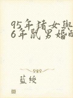 95年猪女与96年鼠男婚配如何封面