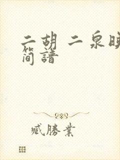 二胡 二泉映月简谱