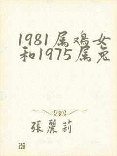 1981属鸡女和1975属兔男婚姻财运