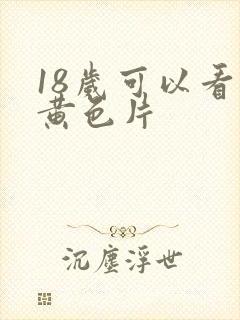 18岁可以看的黄色片封面