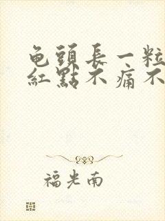 龟头长一粒一粒红点不痛不痒是什么封面