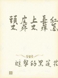 头皮上长红疙瘩又疼又痒怎么回事