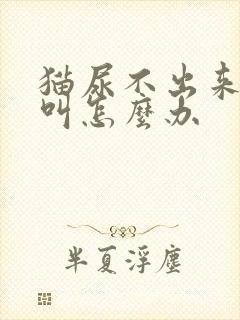 猫尿不出来一直叫怎么办