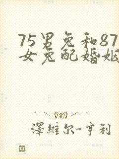 75男兔和87女兔配婚姻好不好