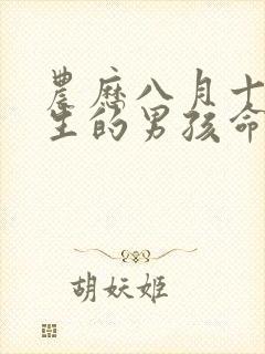 农历八月十五出生的男孩命运如何