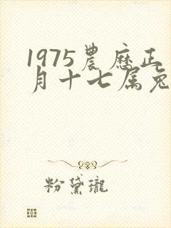 1975农历正月十七属兔命运