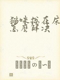 猫咪总在床上尿怎么解决