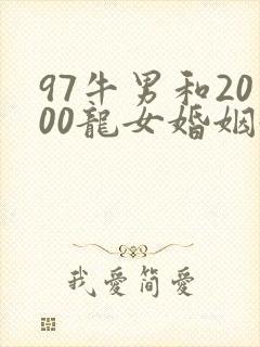 97牛男和2000龙女婚姻好不好封面