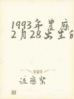 1993年农历2月28出生的命运