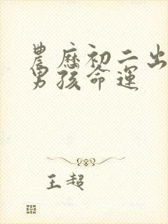 农历初二出生的男孩命运