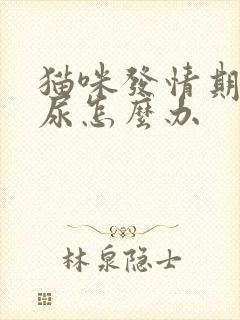 猫咪发情期间乱尿怎么办