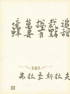 亿万总裁追妻 鲜妻有点甜