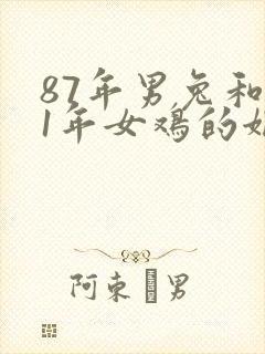 87年男兔和81年女鸡的姻缘封面