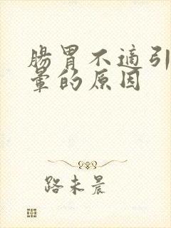 肠胃不适引起头晕的原因封面