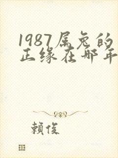 1987属兔的正缘在哪年