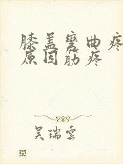 膝盖弯曲疼痛的原因筋疼