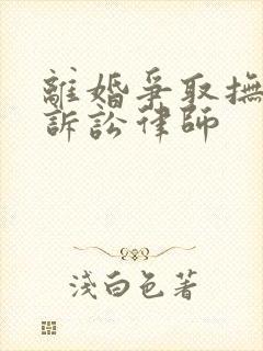 离婚争取抚养权诉讼律师