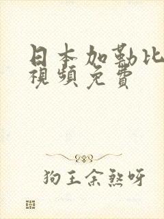 日本加勒比高清视频免费