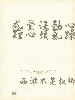 感觉没劲心慌气短心烦气躁封面