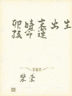 卯时末出生的男孩命运