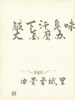 腋下汗臭味有点大 怎么办