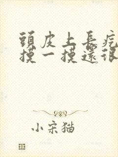 头皮上长疙瘩,摸一摸还很疼是什么原因?