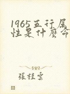 1965五行属性是什么命