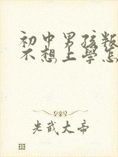 初中男孩叛逆期不想上学怎么办