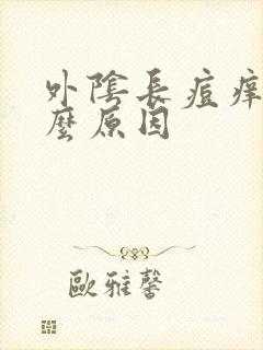 外阴长痘痒是什么原因