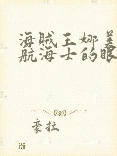 海贼王娜美篇:航海士的眼泪与牵绊 动画片
