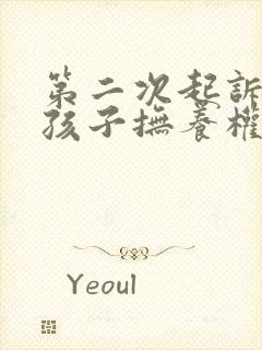 第二次起诉离婚孩子抚养权