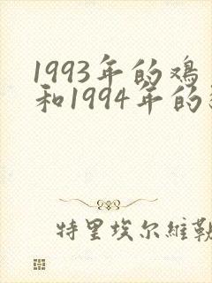 1993年的鸡和1994年的狗婚姻如何