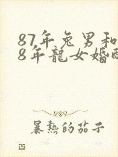 87年兔男和88年龙女婚配封面