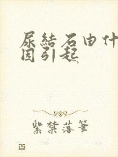 尿结石由什么原因引起