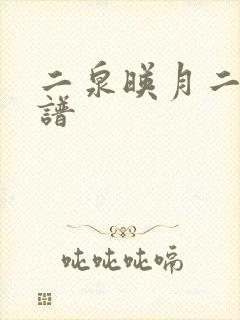 二泉映月二胡简谱