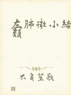 左肺微小结节2类